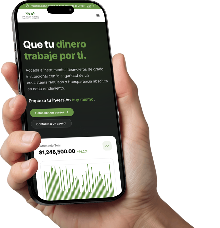 Portafolio IPX Investments, Desarrollo Web Veracruz